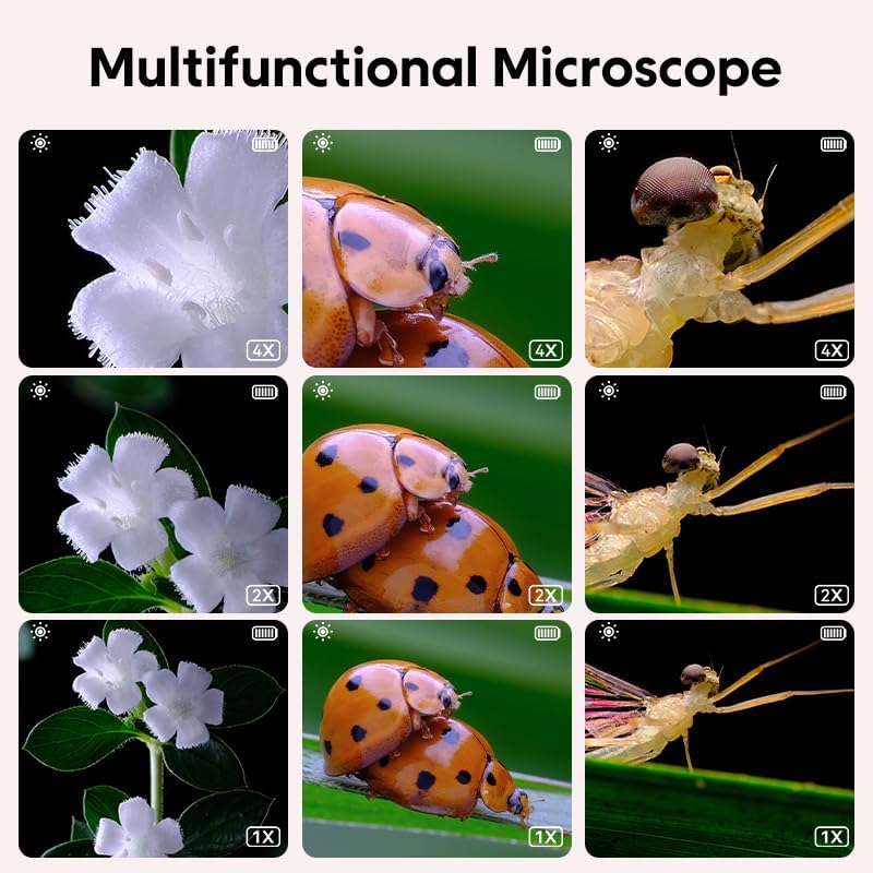 The Miniscope | Kids Microscope